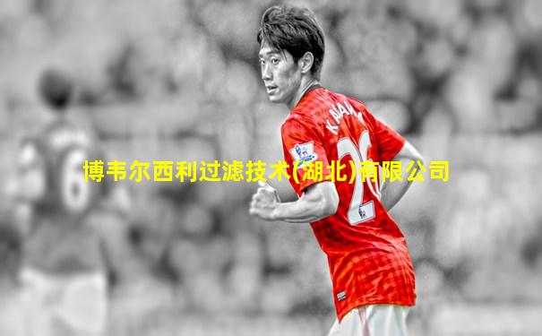 博韦尔西利过滤技术(湖北)有限公司
