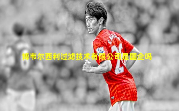 博韦尔西利过滤技术有限公司是国企吗
