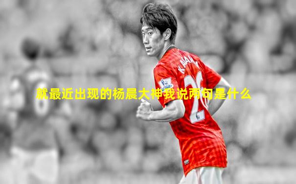 就最近出现的杨晨大神我说两句是什么