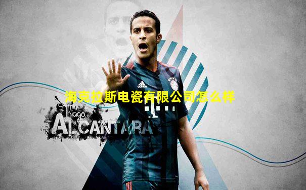 海克拉斯电瓷有限公司怎么样
