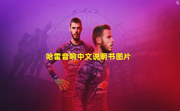 哈雷音响中文说明书图片
