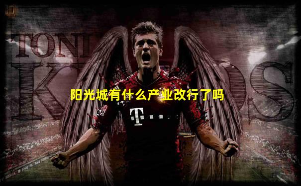 阳光城有什么产业改行了吗